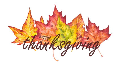 Hand drawn watercolor illustration with 