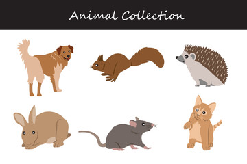 Animals collection. Flat style vector illustration.