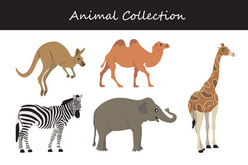 Animals collection. Flat style vector illustration.