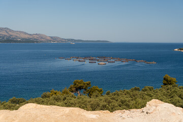 Mussel farm in Sarande Albania