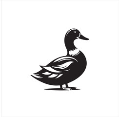 Duck silhouette vector art illustration