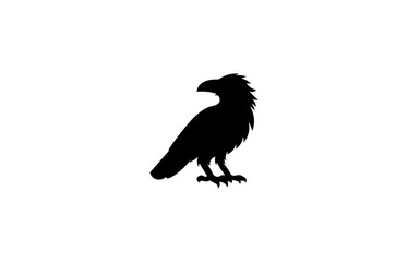 Vector illustration of cartoon crow isolated on white background