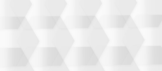 Fototapeta premium Abstract white and gray technology concept diamond hexonal geometric background. gradient vector art illustration. soft and trendy business template . futuristic concept background