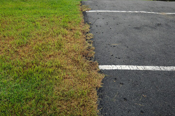 Fototapeta premium road in the countryside
