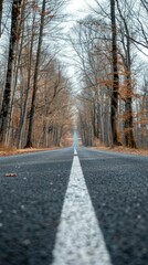 Empty road in summer through leafless forest with sky 