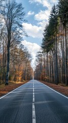 Fototapeta premium Empty road in summer through leafless forest with sky 