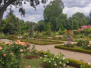 Rese garden of Bagatelle, Bosque de Boulogne, Paris