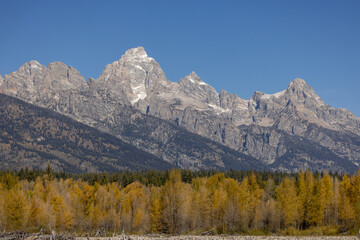 Scenic Autumn Landscape in Grand Teton National Park Wyoming