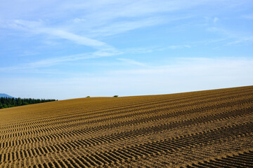 北海道　9月の美瑛