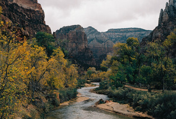 landscape in autumn, Zion National Park, Utah © Kori