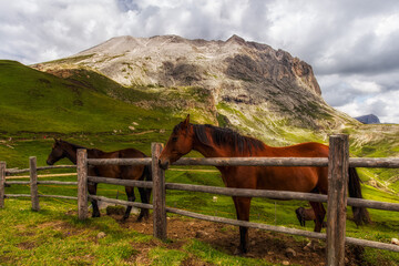 Trekking - Trentino