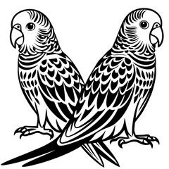 Parrots, Budgerigars, Cockatiels,Sparrow, Macaws silhouette and line art vector illustration design.