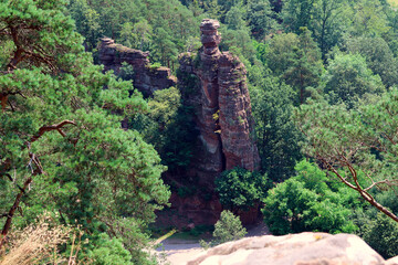 Blick vom Pfaffenfelsen bei Dahn in den Pfälzerwald im Landkreis Südwestpfalz im deutschen...