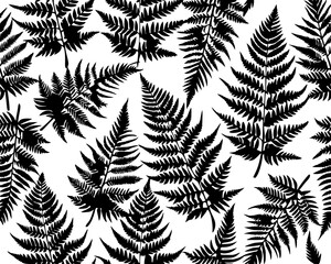 seamless pattern of fern leaves v2