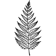 Naklejka premium fern outline coloring book page line art illustration digital drawing