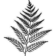 Naklejka premium fern outline coloring book page line art illustration digital drawing