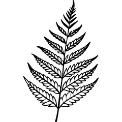 Naklejka premium fern outline coloring book page line art illustration digital drawing