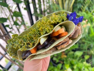 Black Soy tofu and tuna slide with kale and carrot salad in spinach tortilla crape