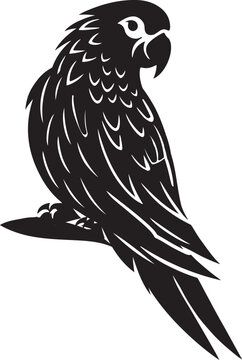 Parrot silhoute vector illustration