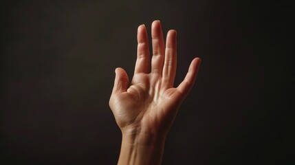 International Day of the Deaf. International Sign Language Day. sign language