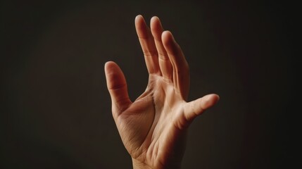 International Day of the Deaf. International Sign Language Day. sign language