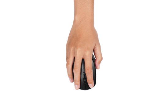 Female hand holding mouse isolated transparent