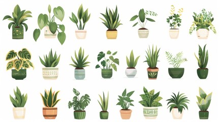 Collection of Cartoon-Style Houseplants Neatly Arranged in Colorful Pots, Vibrant and Cheerful Home Decor Illustration, Perfect for Botanical Art Enthusiasts