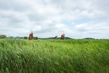 It is a picture of Soraepogu in Incheon, South Korea	