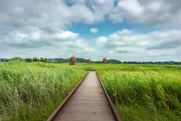 It is a picture of Soraepogu in Incheon, South Korea	