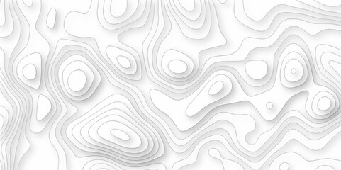 Vector white wave line geography landscape Topo contour map on white background. Geographic mountain relief diagram line wave carve pattern. Topographic world map contour lines map texture.