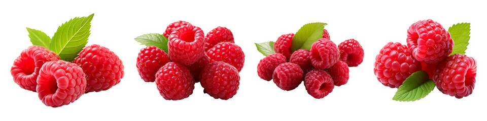 Collection set of fresh raspberries isolated on transparent background