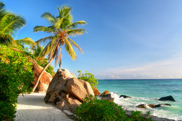 Seychelles tropical island palm beach and rocky coast