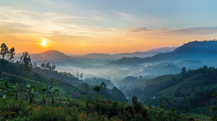 Fototapeta premium Beautiful Morning Nature Views