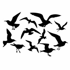 Obraz premium intricate coral silhouettes in black color on an isolated white background (14)