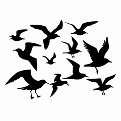 intricate coral silhouettes in black color on an isolated white background (16)