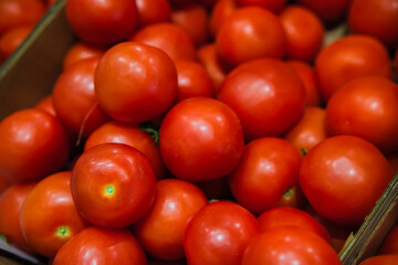 Fresh ripe red tomatoes