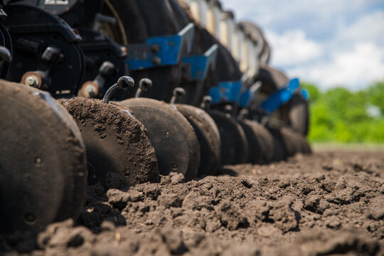 Row seed drill grain. Seed sowing device.