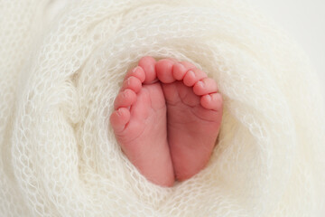 The tiny foot of a newborn baby. Soft feet of a new born in a wool white blanket. Close up of toes, heels and feet of a newborn. Macro photography.