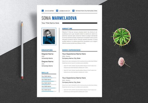 Professional Resume Template Layout