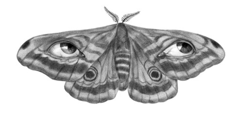 Butterfly with eyes on wings surreal psychedelic chalk tattoo illustration isolated on white background