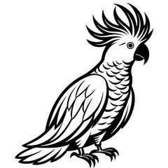  Elegant Single Cockatoo Vector Silhouette Line Art Illustration Design.