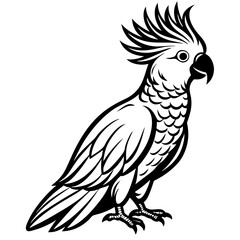  Elegant Single Cockatoo Vector Silhouette Line Art Illustration Design.