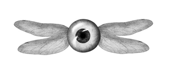 Eye with insect wings, surreal psychedelic chalk tattoo illustration
