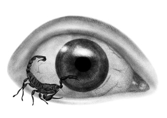 Eye with a scorpion on the eyeball, surreal psychedelic chalk tattoo illustration