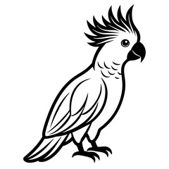  Elegant Single Cockatoo Vector Silhouette Line Art Illustration Design.
