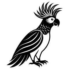  Elegant Single Cockatoo Vector Silhouette Line Art Illustration Design.