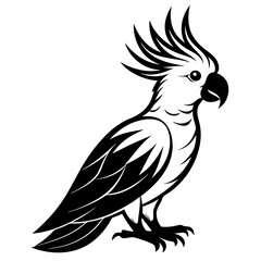  Elegant Single Cockatoo Vector Silhouette Line Art Illustration Design.