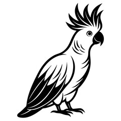  Elegant Single Cockatoo Vector Silhouette Line Art Illustration Design.