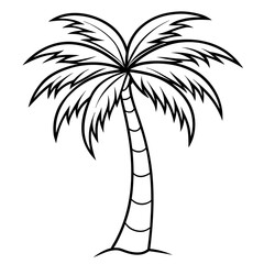 Obraz premium palm tree outline coloring book page line art illustration digital drawing