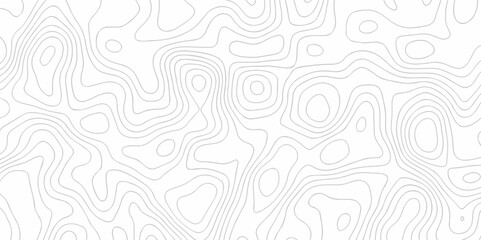 Vector white wave line geography landscape Topo contour map on white background. Geographic mountain relief diagram line wave carve pattern. Topographic world map contour lines map texture.